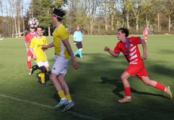 Žlutice - Nová Role