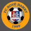 FC Nové Hamry